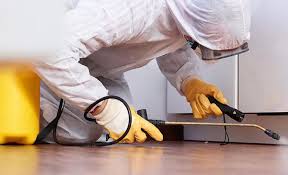 Best Residential Pest Control  in Matheny, CA